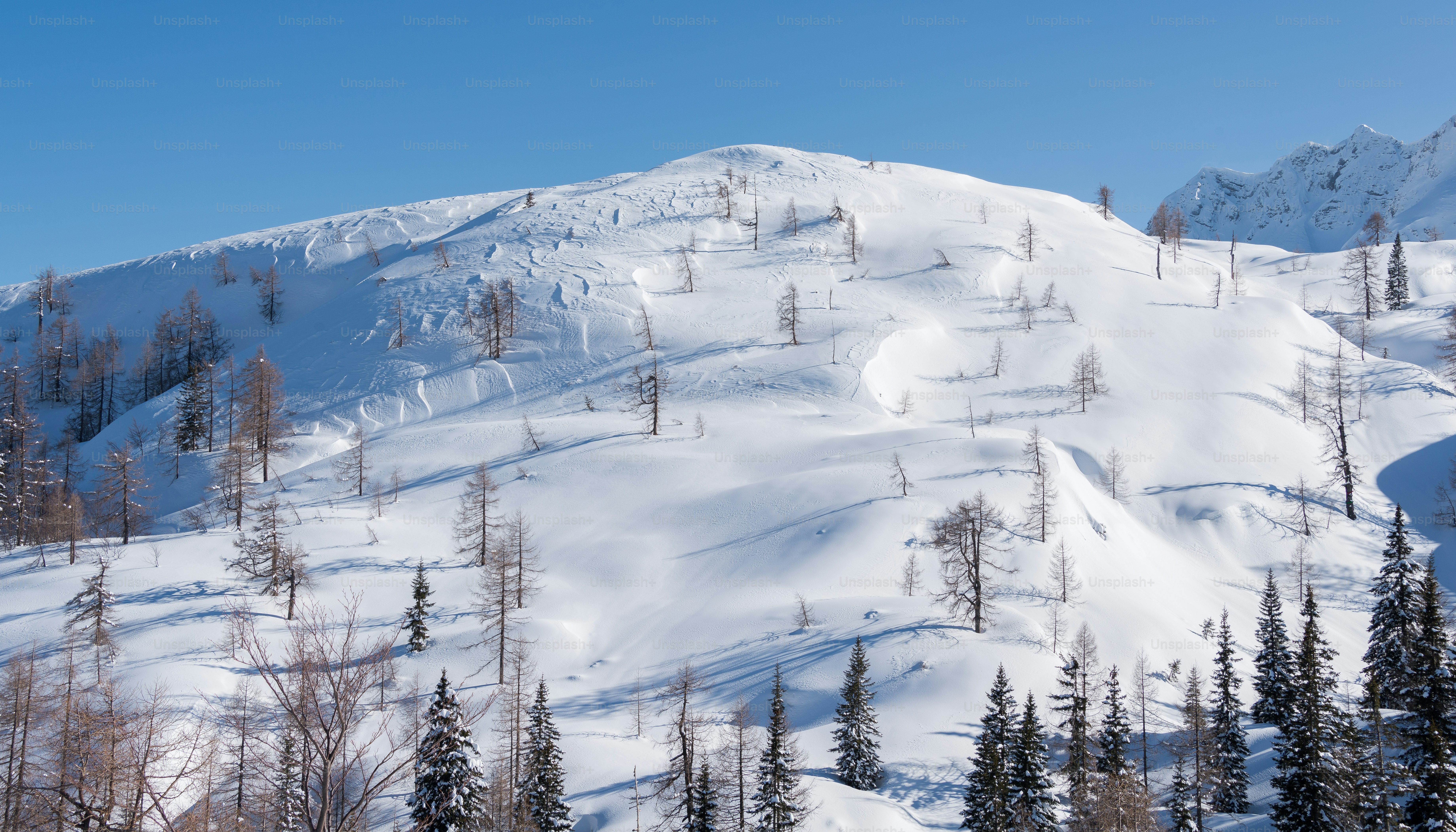 a snow covered mountain with trees on the side