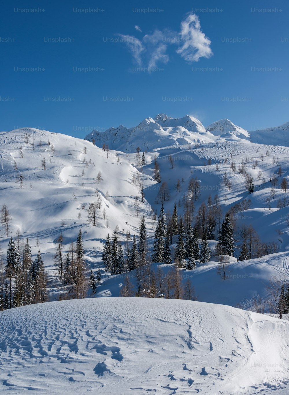 a snow covered mountain with trees in the foreground