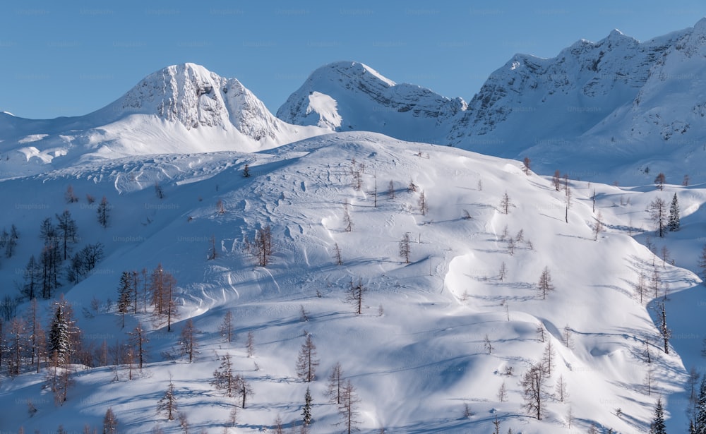 Una montagna innevata con alberi e uno sfondo del cielo