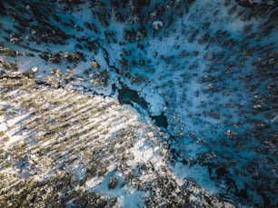 Una vista aérea del suelo cubierto de nieve y árboles