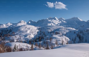 a snow covered mountain range with trees in the foreground