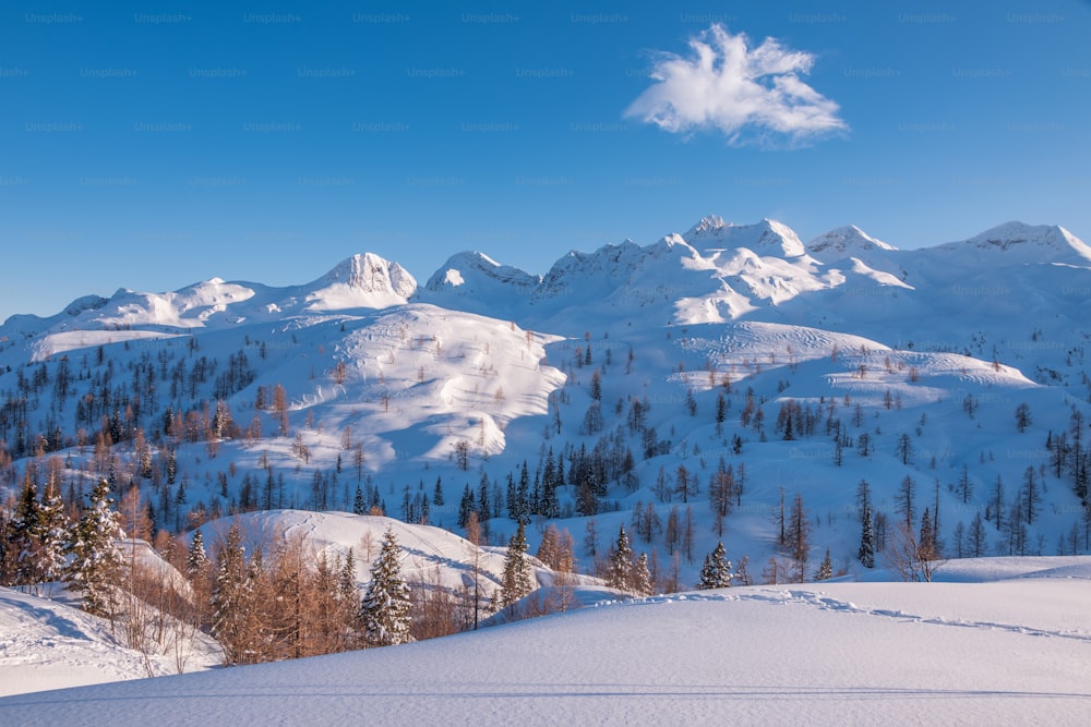 a snow covered mountain range with trees in the foreground