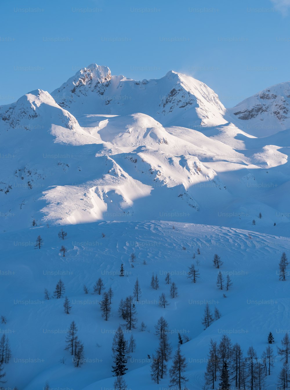 Una montagna coperta di neve e alberi sotto un cielo blu