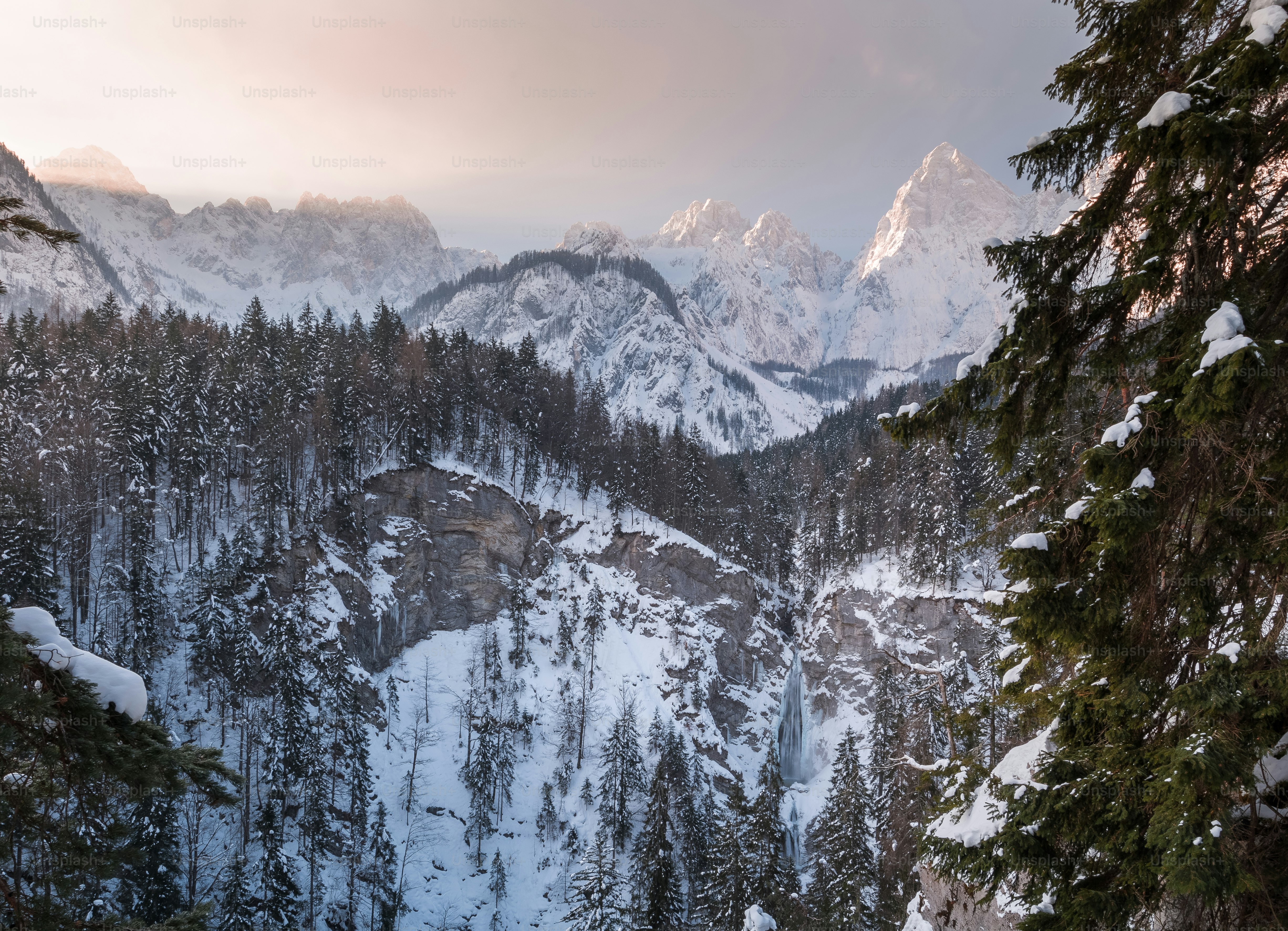 uma vista de uma cordilheira nevada com árvores em primeiro plano