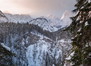 a view of a snowy mountain range with trees in the foreground