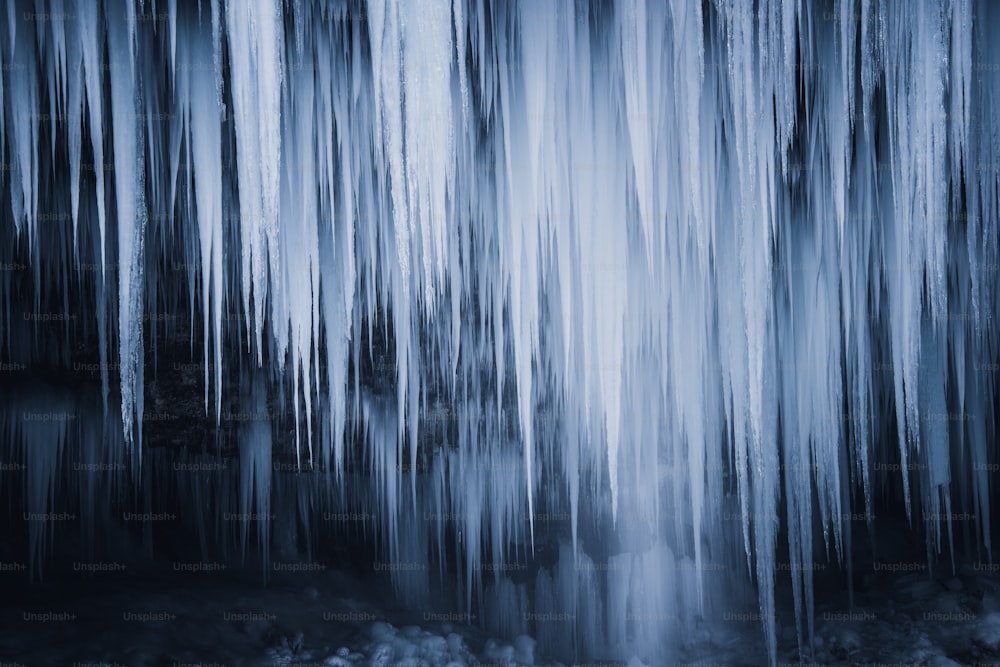 a group of trees that are standing in the snow