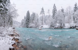 a river running through a forest covered in snow