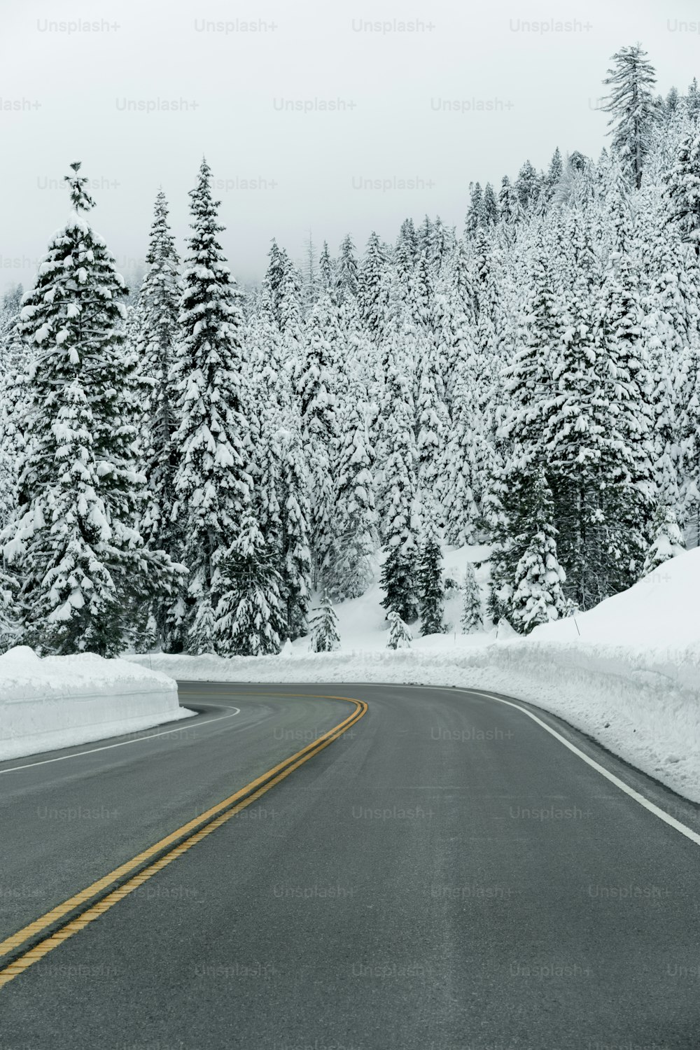 Una strada in mezzo a una foresta coperta di neve
