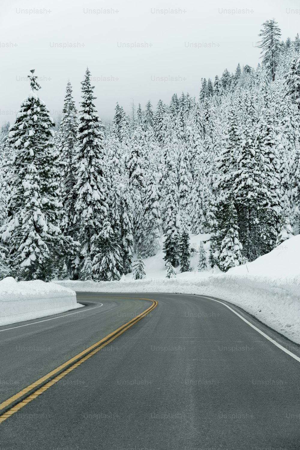 a road in the middle of a forest covered in snow