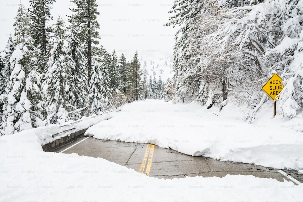 a snow covered road in the middle of a forest