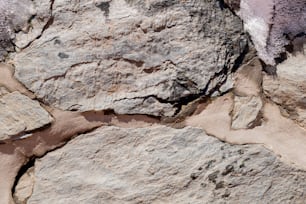 un primer plano de una roca con algo de tierra