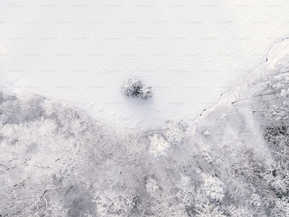 雪に覆われた風景の空中写真
