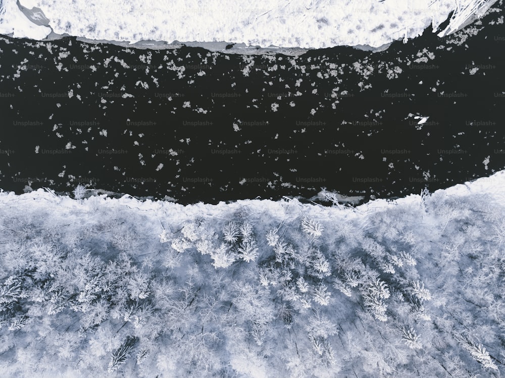 uma foto em preto e branco de água e gelo