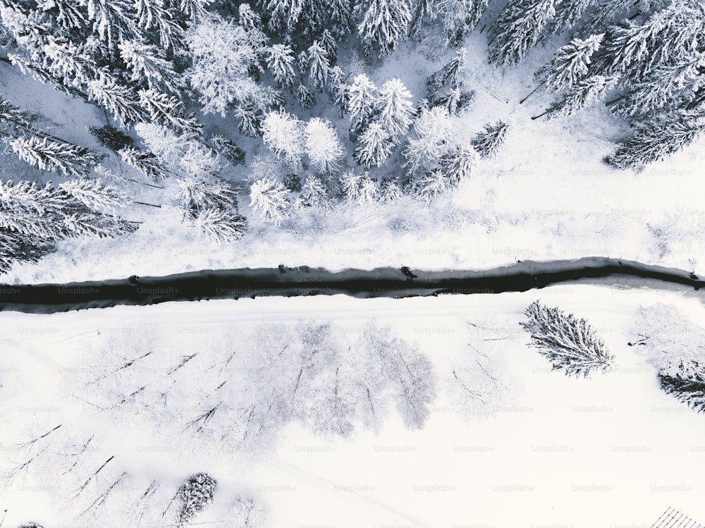 an aerial view of a snow covered forest