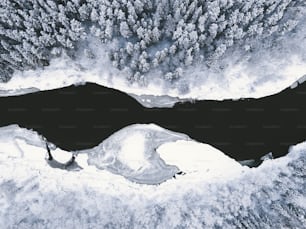 an aerial view of snow covered trees and water