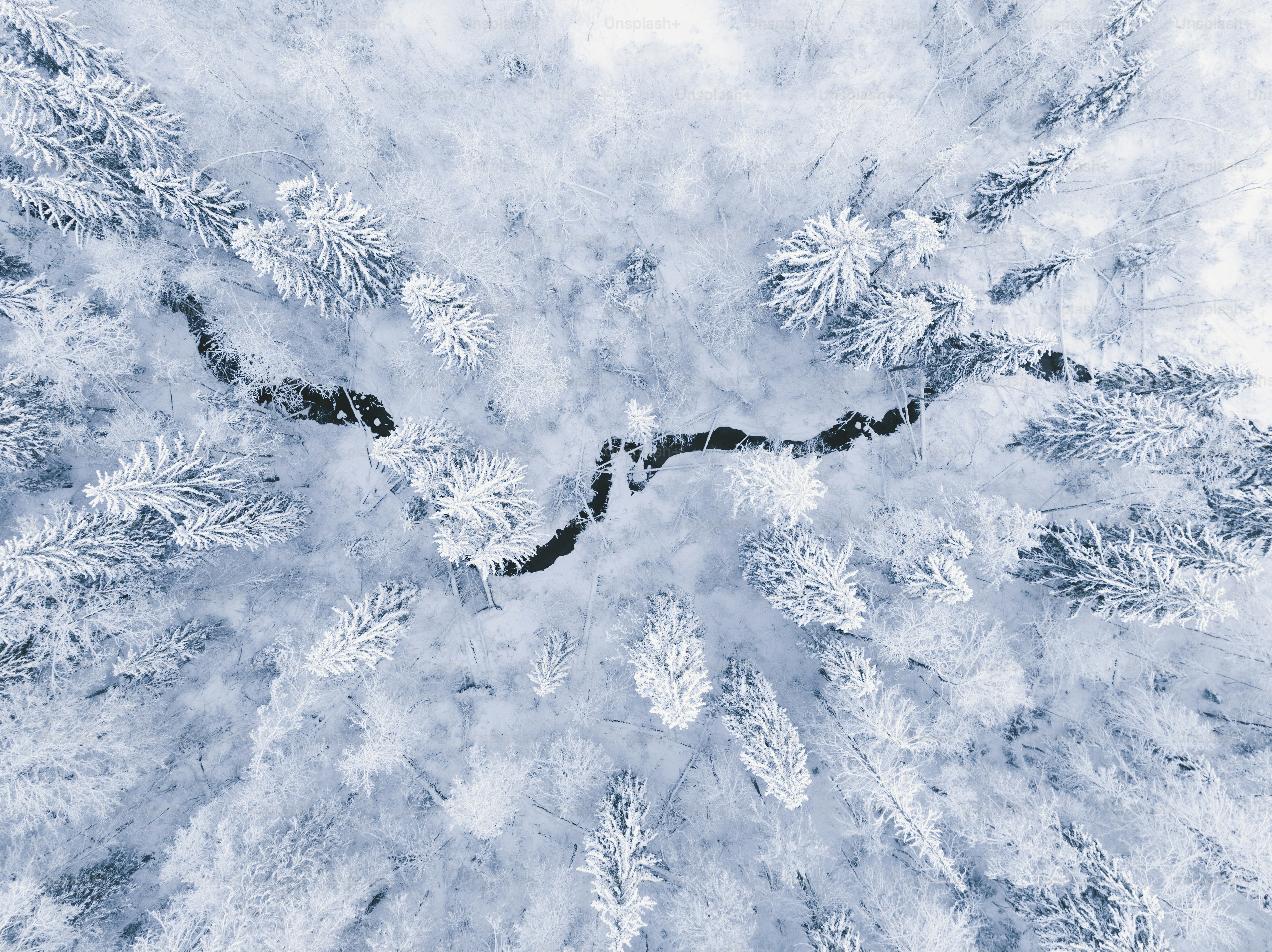 an aerial view of a snow covered forest
