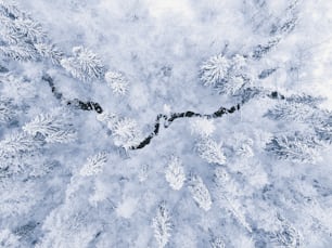 an aerial view of a snow covered forest