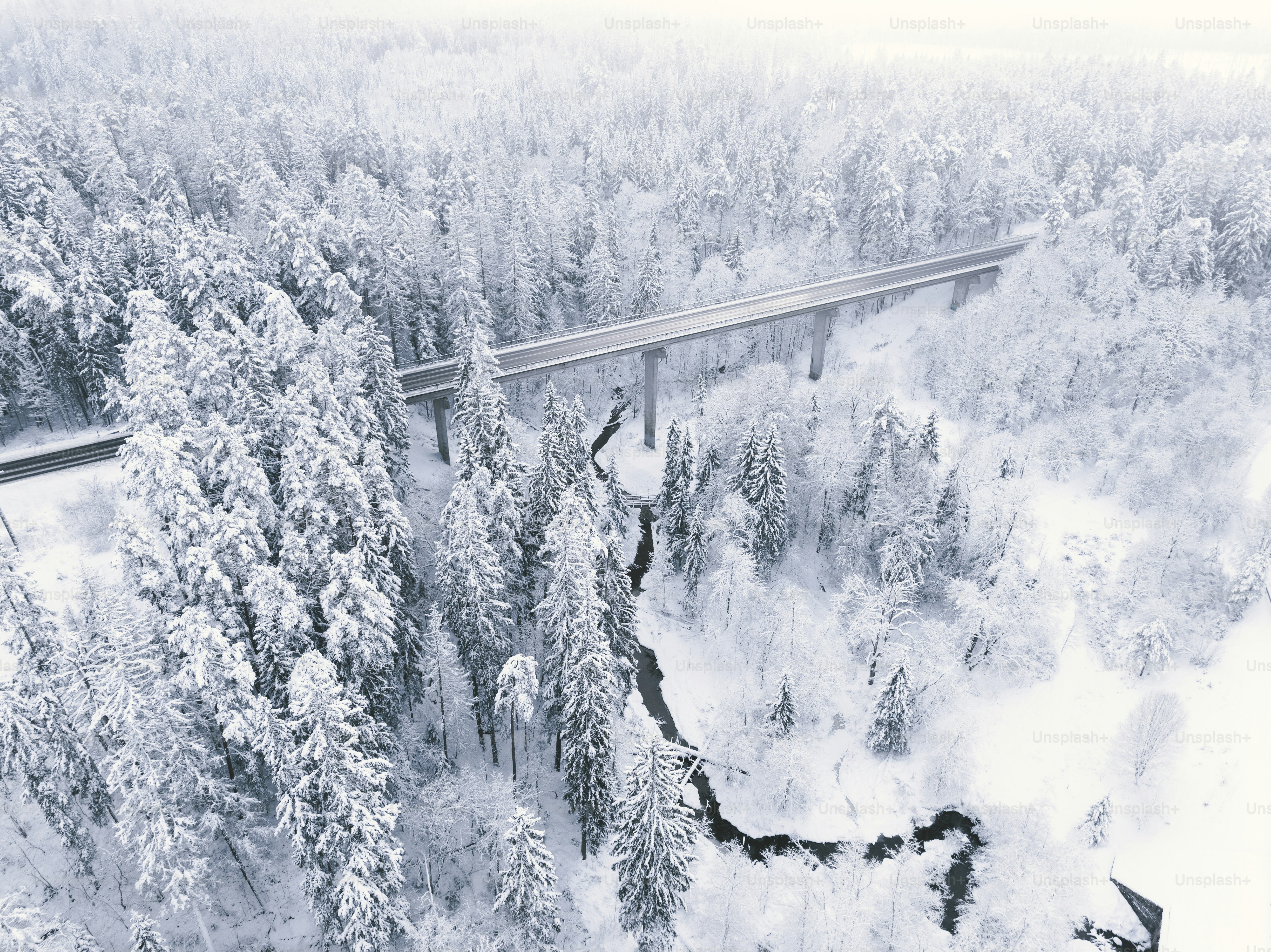 a bridge in the middle of a snowy forest