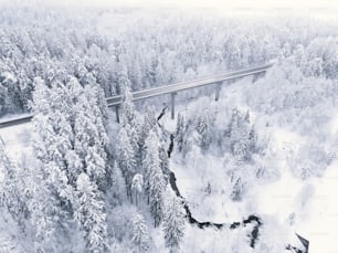 Eine Brücke mitten in einem verschneiten Wald