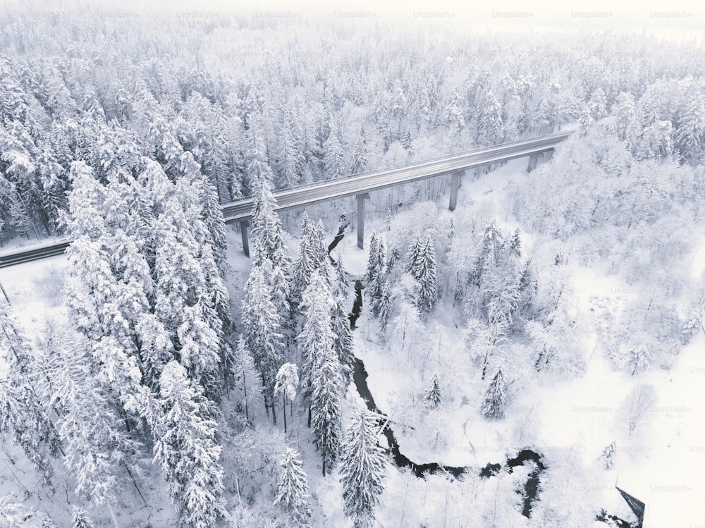 a bridge in the middle of a snowy forest