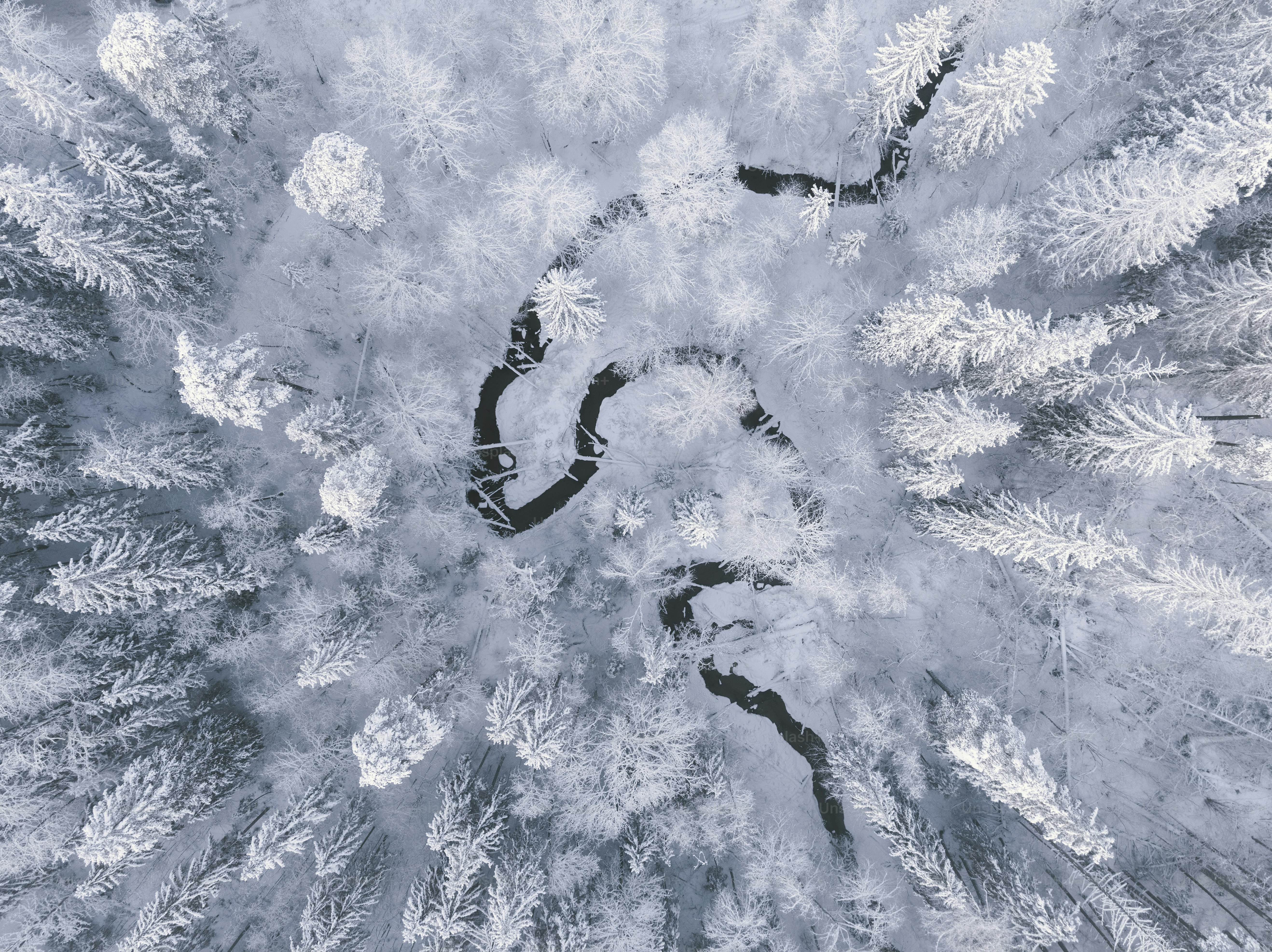 una veduta aerea di una foresta innevata
