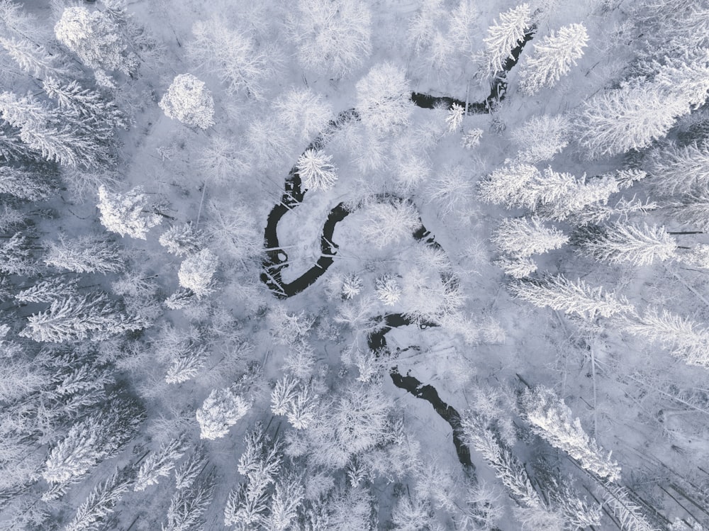 an aerial view of a snow covered forest