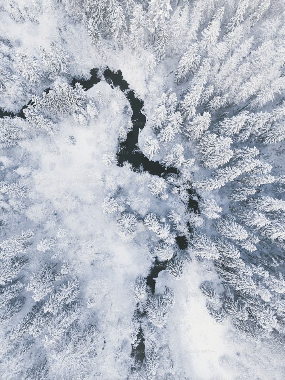 an aerial view of a snow covered forest