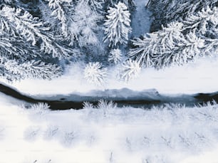 an aerial view of a snow covered forest