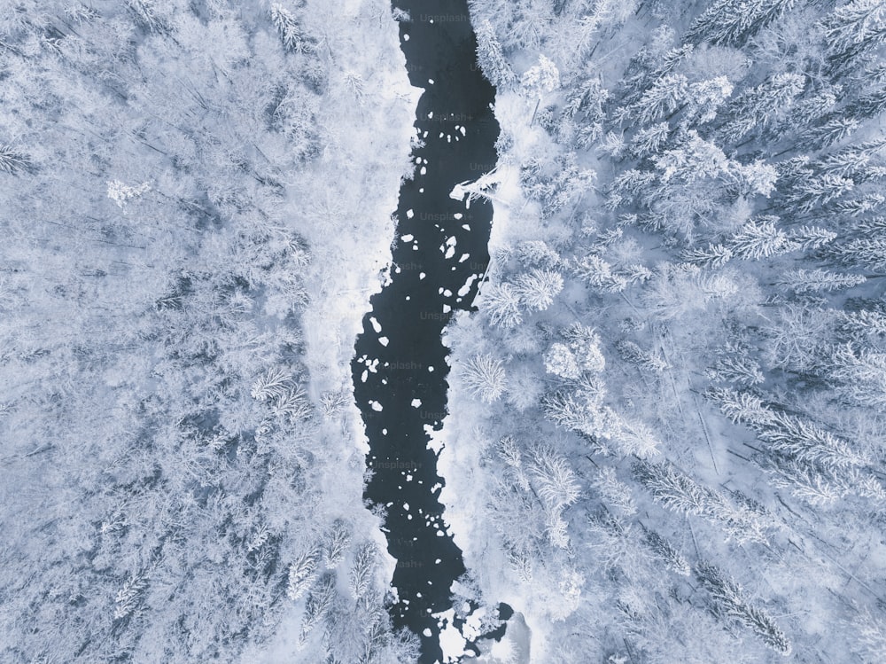una veduta aerea di uno specchio d'acqua circondato dalla neve