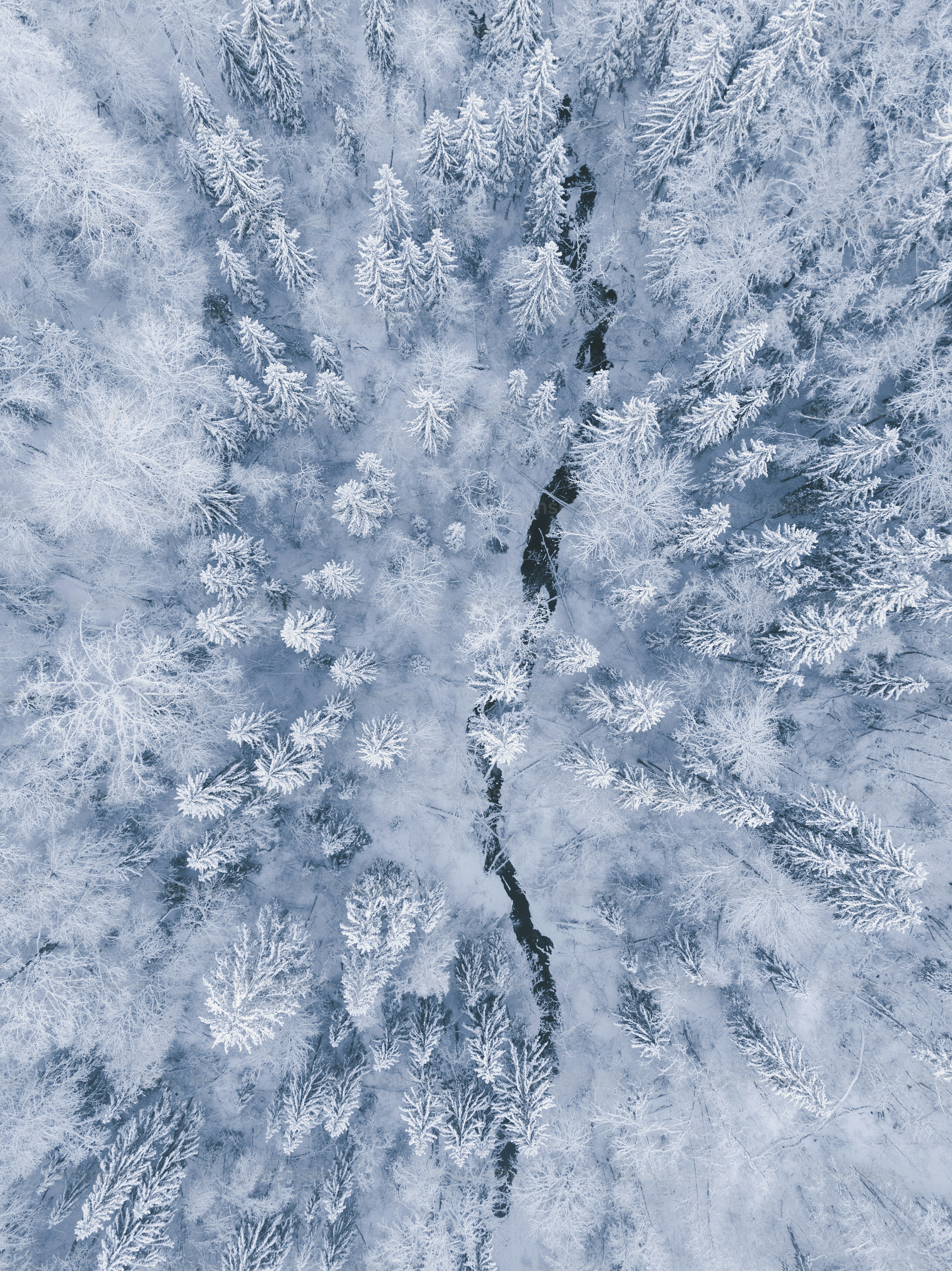 an aerial view of a snow covered forest
