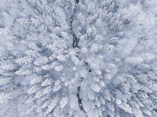 an aerial view of a snow covered forest