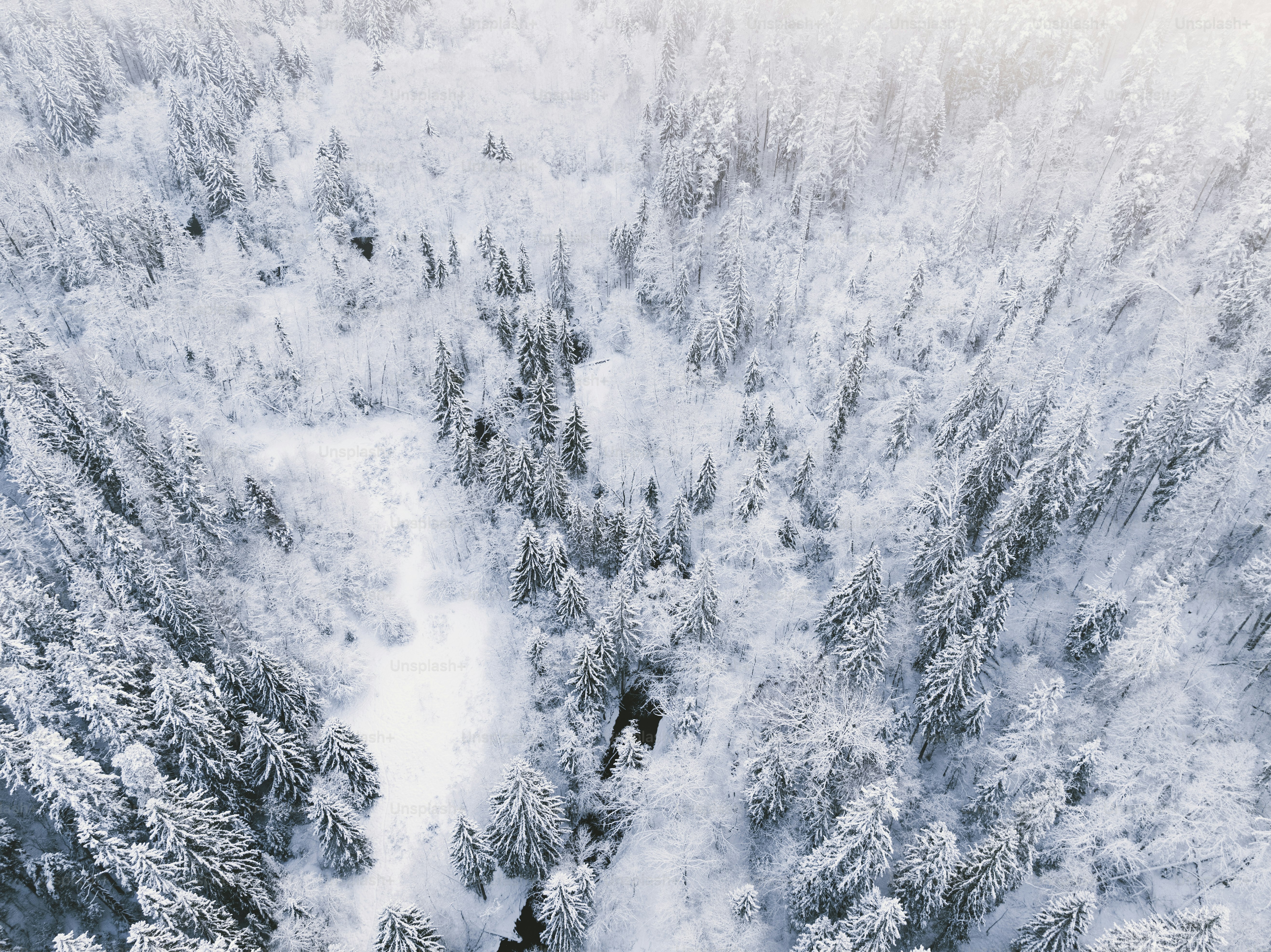 An aerial view of a snow covered forest photo – Wallpapers Image on ...