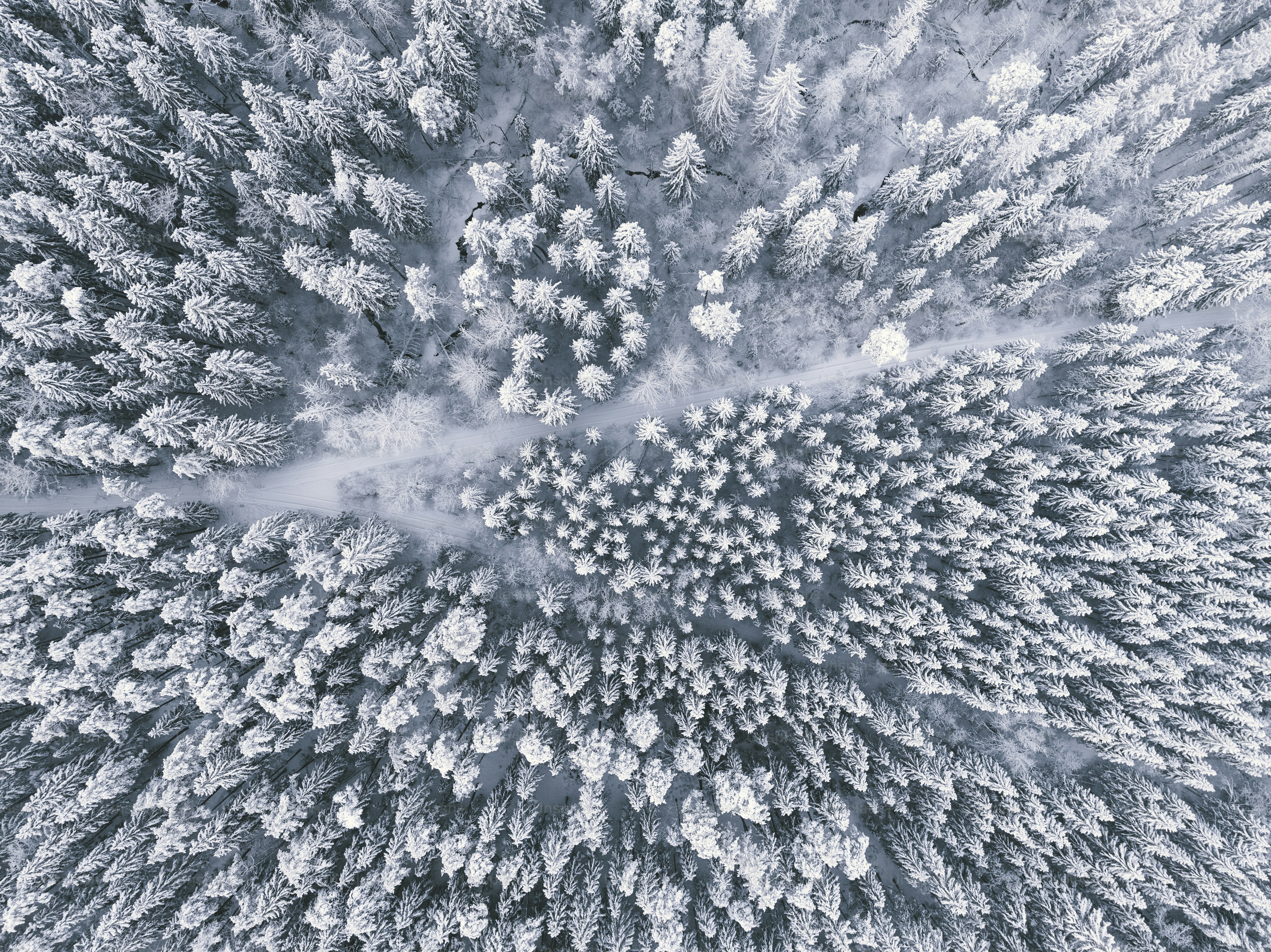 an aerial view of a snow covered forest