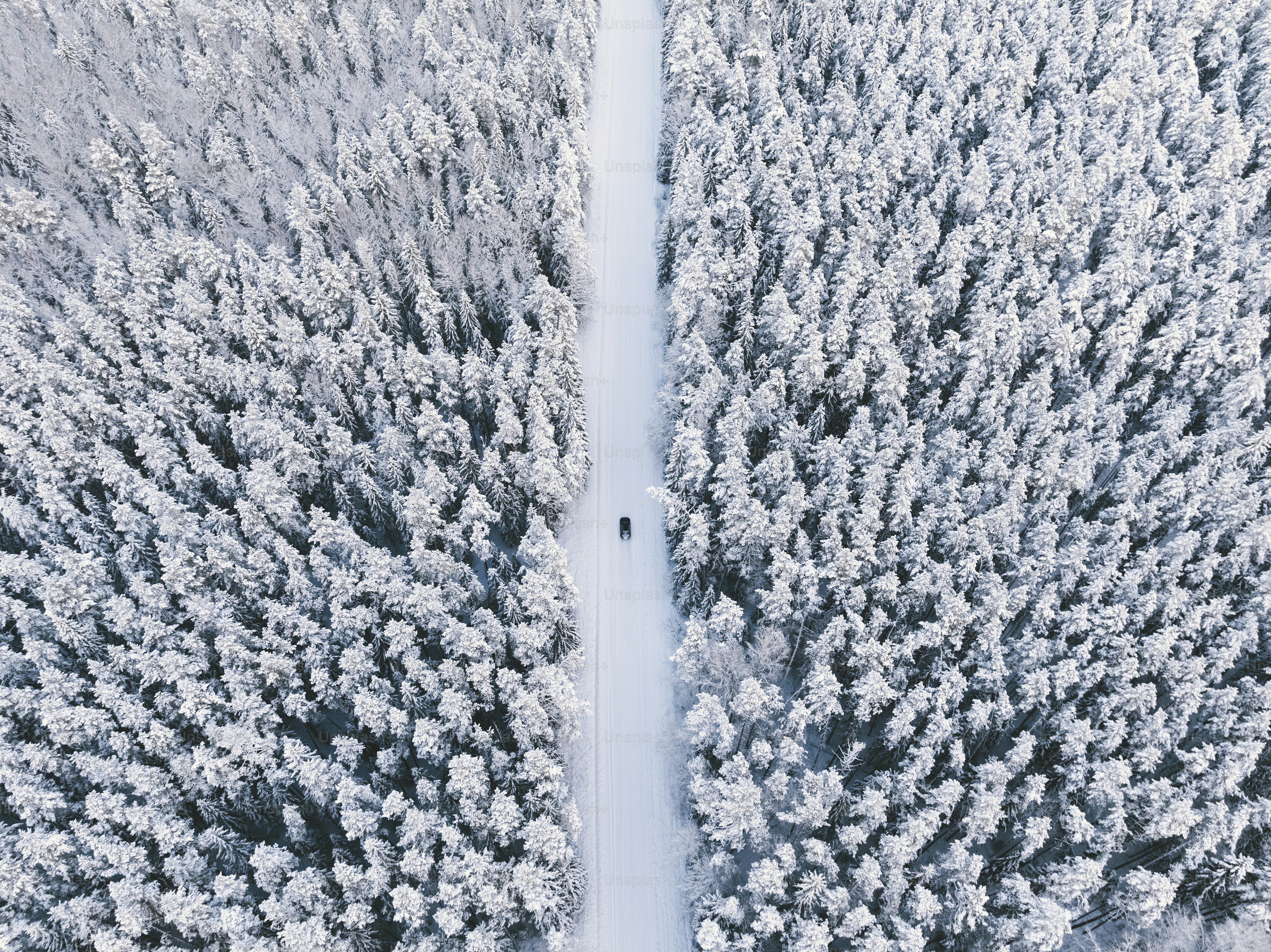 an aerial view of a snow covered forest