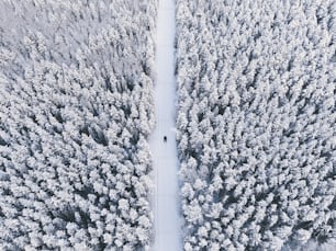 an aerial view of a snow covered forest