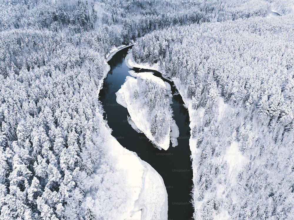 Ein Fluss, der durch einen schneebedeckten Wald fließt