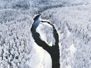 a river running through a snow covered forest