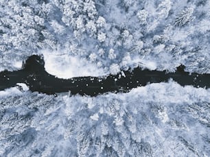Luftaufnahme eines verschneiten Waldes