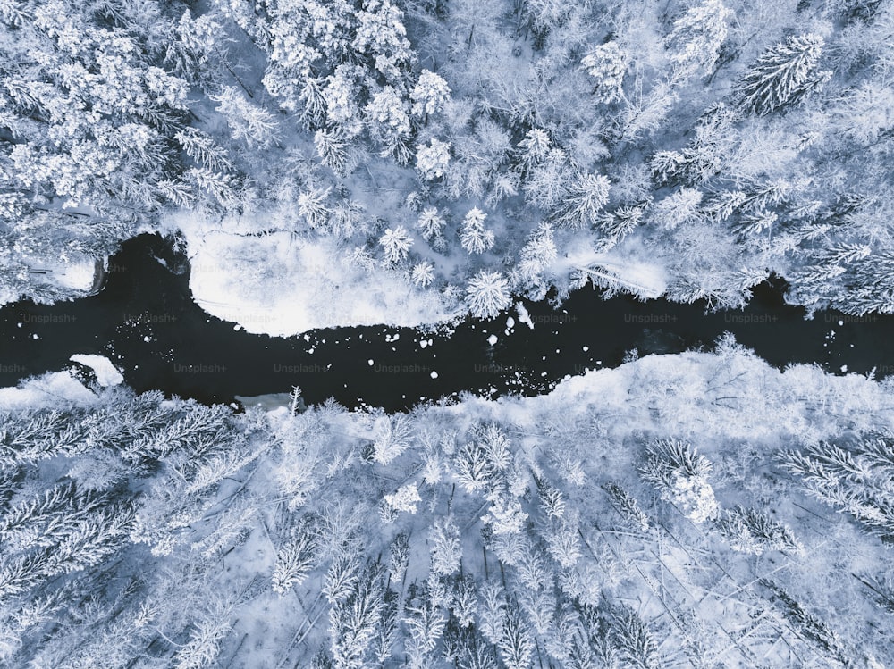 an aerial view of a snow covered forest