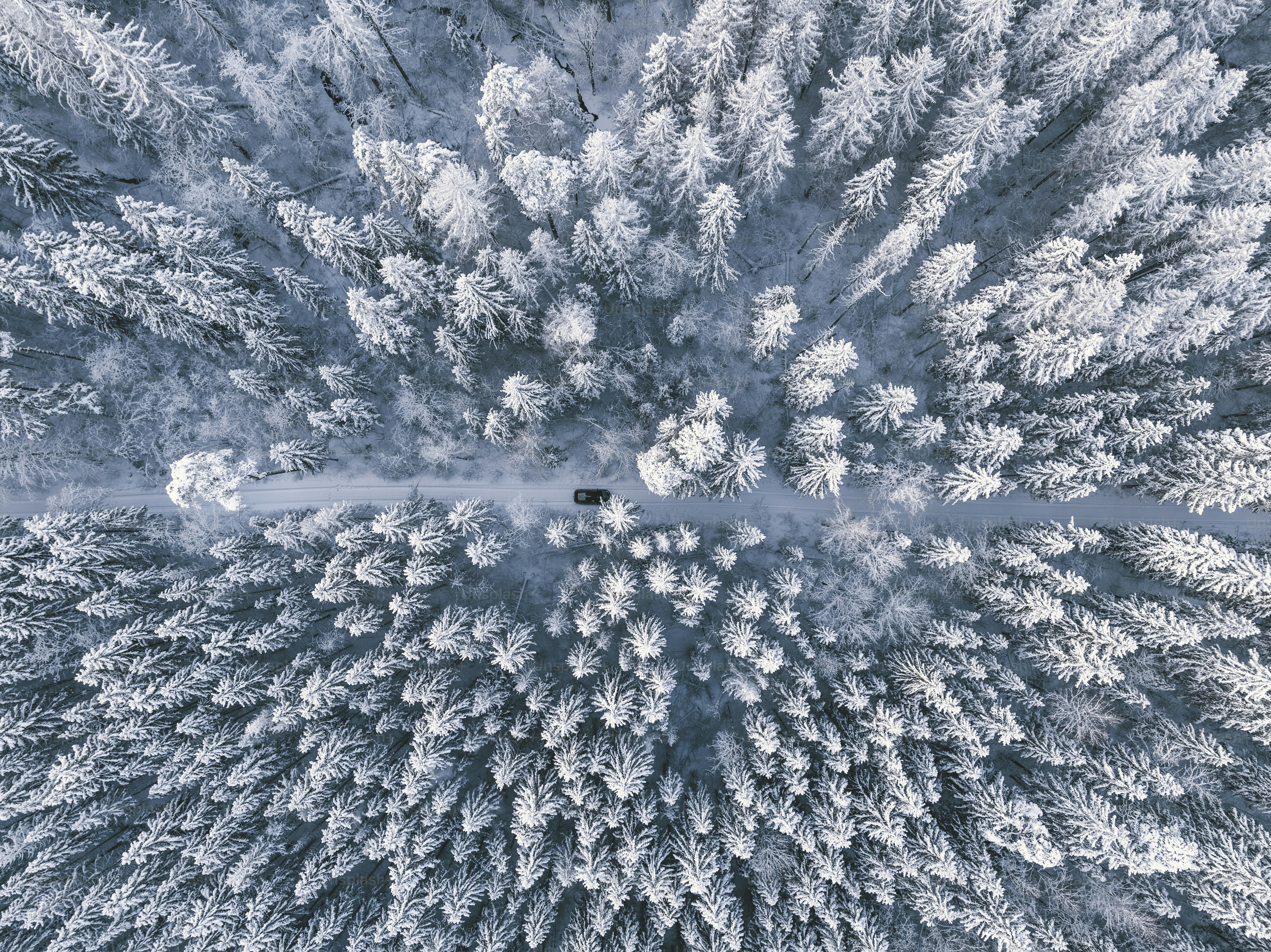 An aerial view of a snow covered forest photo – Forest Image on Unsplash