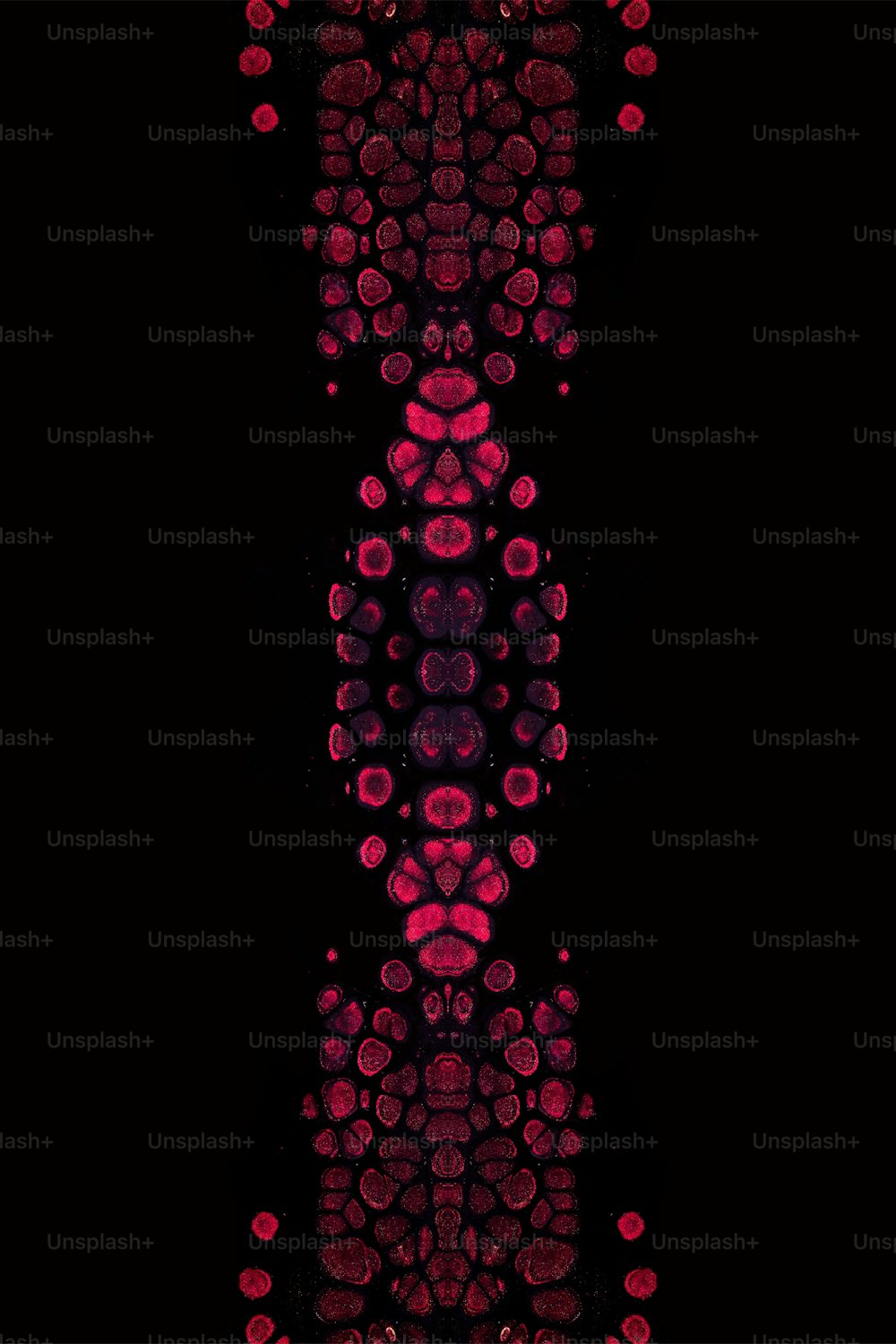 a black background with red and pink circles