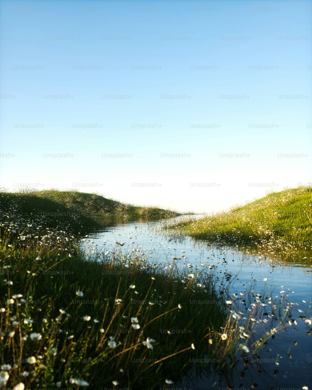a body of water surrounded by grass and flowers