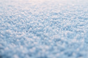 a close up of a blue area rug