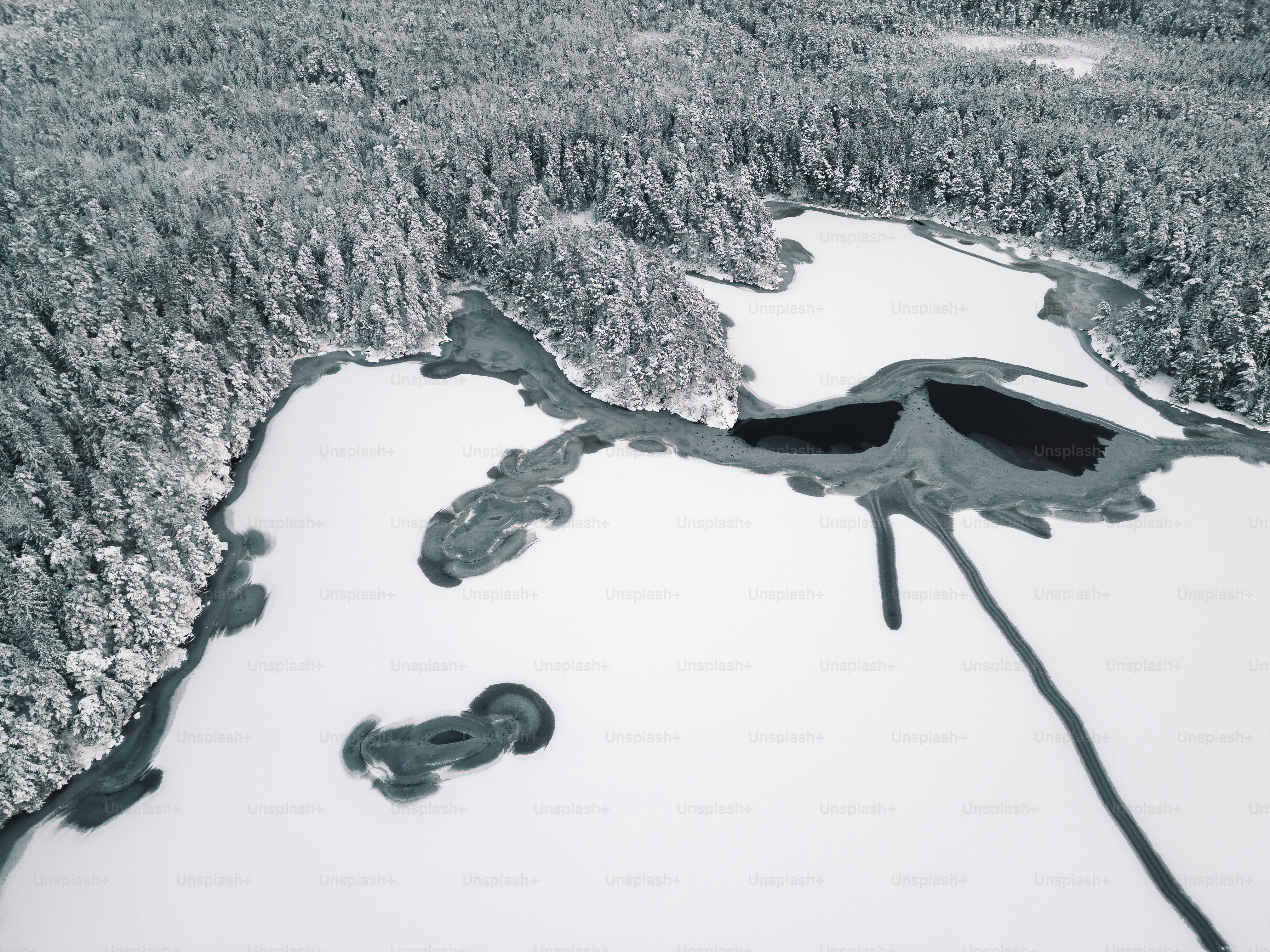 an aerial view of a lake surrounded by trees
