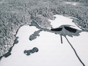 an aerial view of a lake surrounded by trees