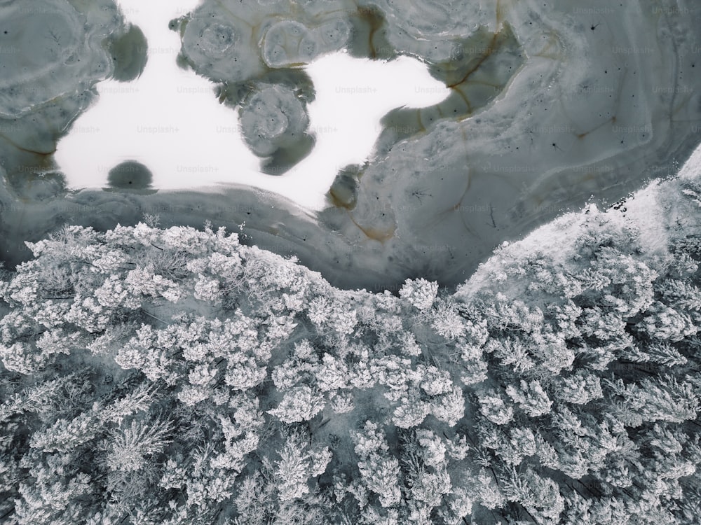 an aerial view of snow covered trees and water