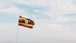 a flag flying in the wind on a cloudy day