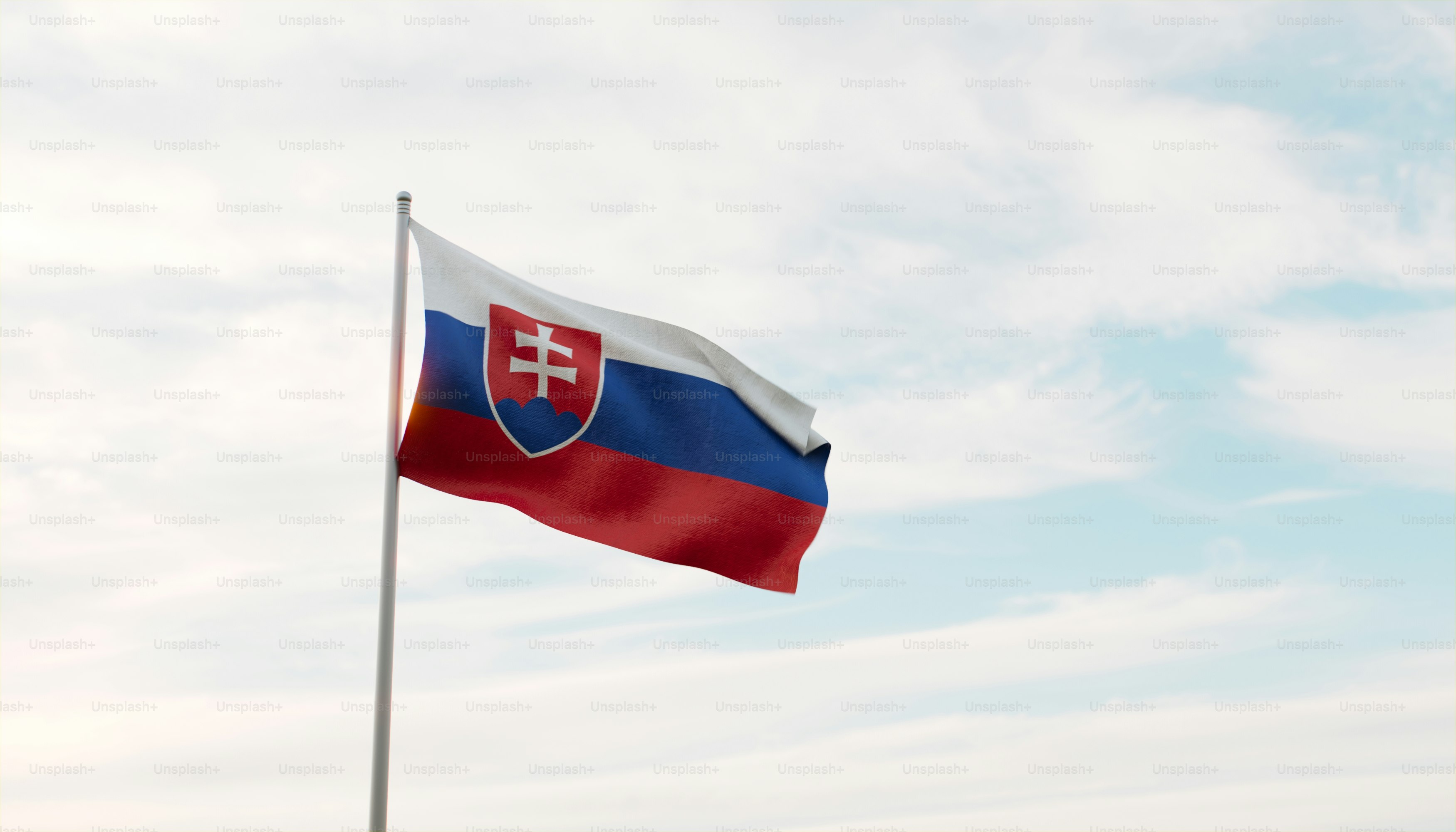 Eine Flagge, die an einem bewölkten Tag im Wind weht