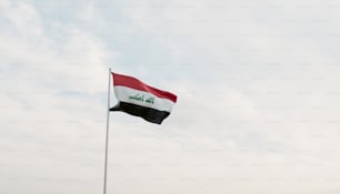 a flag flying in the wind on a cloudy day