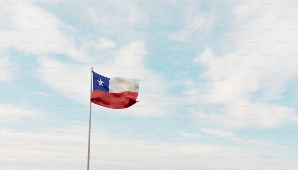 a texas state flag flying in the wind